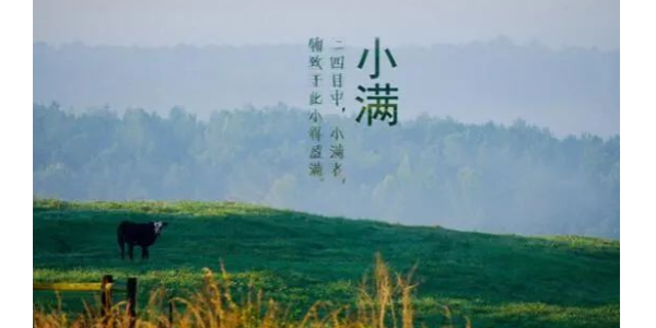 今日小滿丨耀先愿你的生活，幸福美滿！